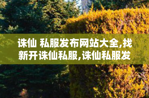诛仙 私服发布网站大全,找新开诛仙私服,诛仙私服发布网大全,找新开诛仙私服