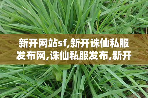 新开网站sf,新开诛仙私服发布网,诛仙私服发布,新开诛仙私服发布网