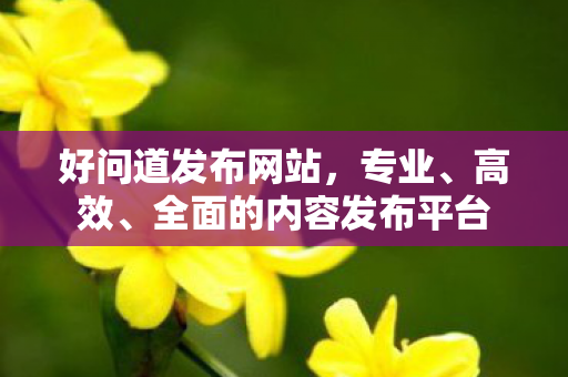 好问道发布网站，专业、高效、全面的内容发布平台