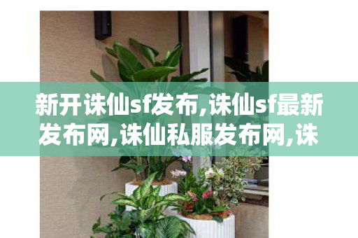 新开诛仙sf发布,诛仙sf最新发布网,诛仙私服发布网,诛仙sf最新发布网