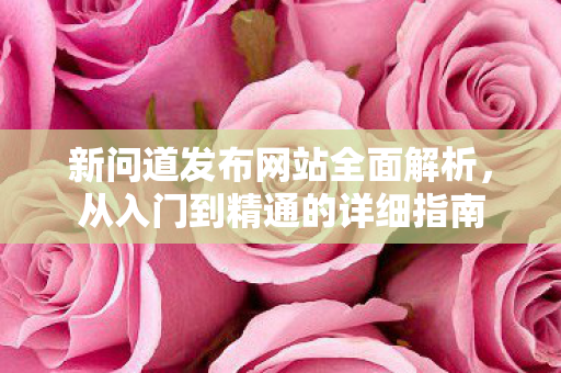 新问道发布网站全面解析，从入门到精通的详细指南