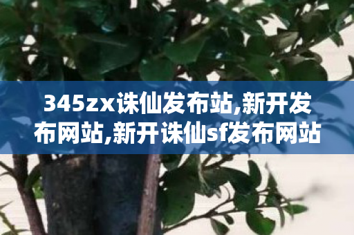 345zx诛仙发布站,新开发布网站,新开诛仙sf发布网站,新开发布网站