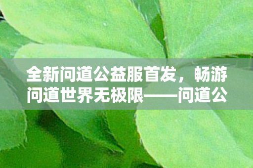 全新问道公益服首发，畅游问道世界无极限——问道公益服发布网全面解析