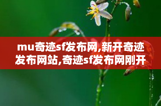 mu奇迹sf发布网,新开奇迹发布网站,奇迹sf发布网刚开一秒,新开奇迹发布网站