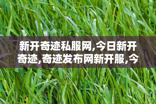 新开奇迹私服网,今日新开奇迹,奇迹发布网新开服,今日新开奇迹