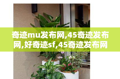 奇迹mu发布网,45奇迹发布网,好奇迹sf,45奇迹发布网