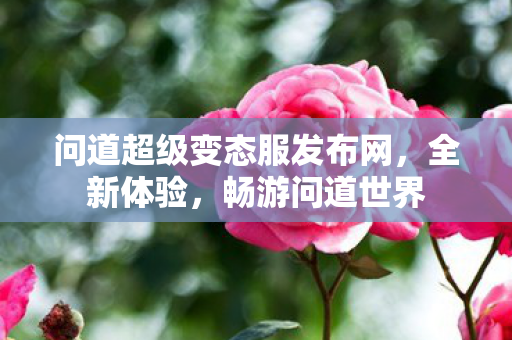 问道超级变态服发布网，全新体验，畅游问道世界