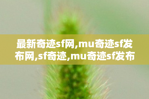最新奇迹sf网,mu奇迹sf发布网,sf奇迹,mu奇迹sf发布网