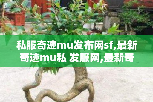 私服奇迹mu发布网sf,最新奇迹mu私 发服网,最新奇迹发布网站,最新奇迹mu私 发服网