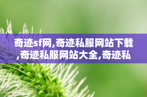 奇迹sf网,奇迹私服网站下载,奇迹私服网站大全,奇迹私服网站下载
