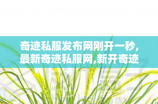 奇迹私服发布网刚开一秒,最新奇迹私服网,新开奇迹网站,最新奇迹私服网
