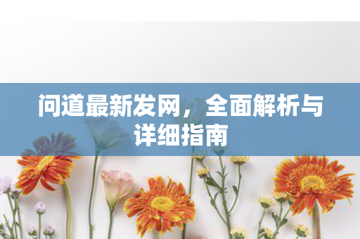问道最新发网，全面解析与详细指南