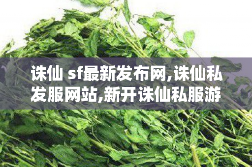 诛仙 sf最新发布网,诛仙私发服网站,新开诛仙私服游戏发布网,诛仙私发服网站