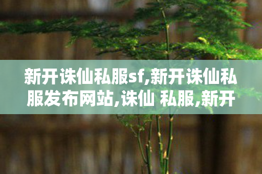 新开诛仙私服sf,新开诛仙私服发布网站,诛仙 私服,新开诛仙私服发布网站