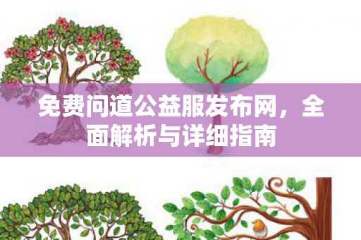 免费问道公益服发布网，全面解析与详细指南