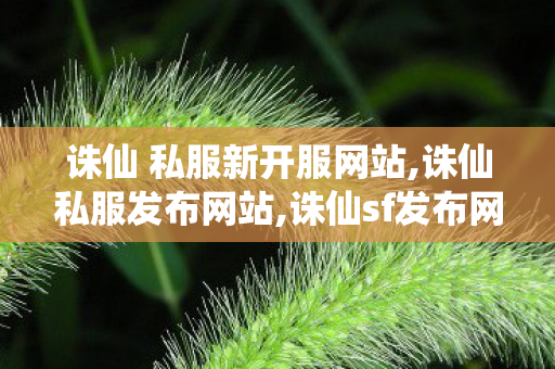 诛仙 私服新开服网站,诛仙私服发布网站,诛仙sf发布网,诛仙私服发布网站