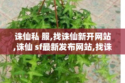 诛仙私 服,找诛仙新开网站,诛仙 sf最新发布网站,找诛仙新开网站