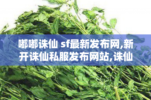 嘟嘟诛仙 sf最新发布网,新开诛仙私服发布网站,诛仙开服网,新开诛仙私服发布网站
