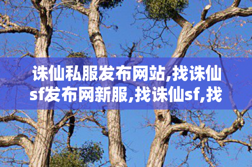 诛仙私服发布网站,找诛仙sf发布网新服,找诛仙sf,找诛仙sf发布网新服