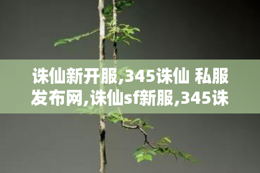 诛仙新开服,345诛仙 私服发布网,诛仙sf新服,345诛仙 私服发布网