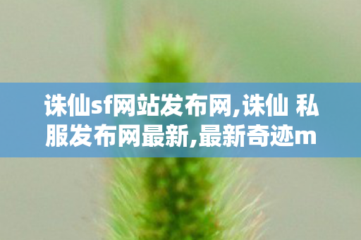 诛仙sf网站发布网,诛仙 私服发布网最新,最新奇迹mu私发服网,诛仙 私服发布网最新