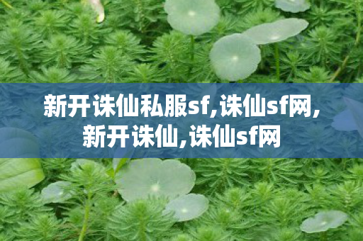 新开诛仙私服sf,诛仙sf网,新开诛仙,诛仙sf网