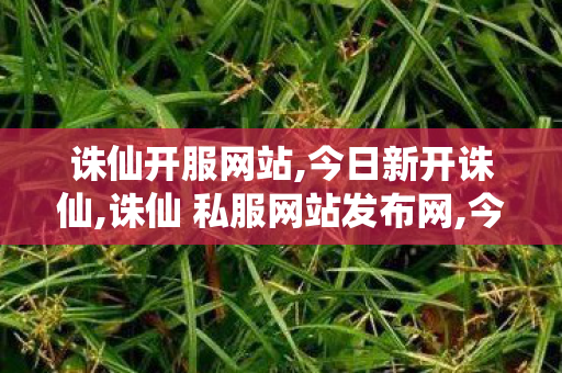 诛仙开服网站,今日新开诛仙,诛仙 私服网站发布网,今日新开诛仙
