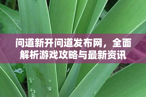 问道新开问道发布网，全面解析游戏攻略与最新资讯