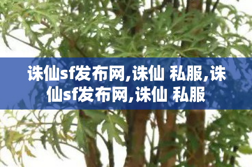 诛仙sf发布网,诛仙 私服,诛仙sf发布网,诛仙 私服