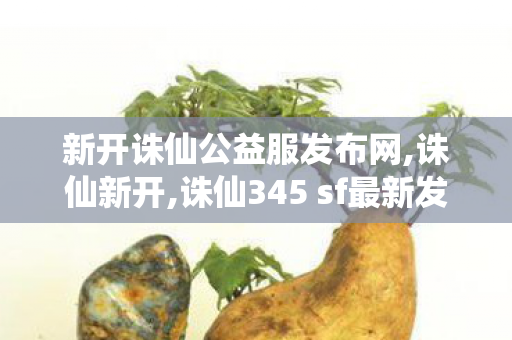 新开诛仙公益服发布网,诛仙新开,诛仙345 sf最新发布网,诛仙新开