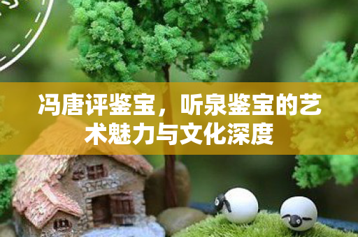 冯唐评鉴宝，听泉鉴宝的艺术魅力与文化深度