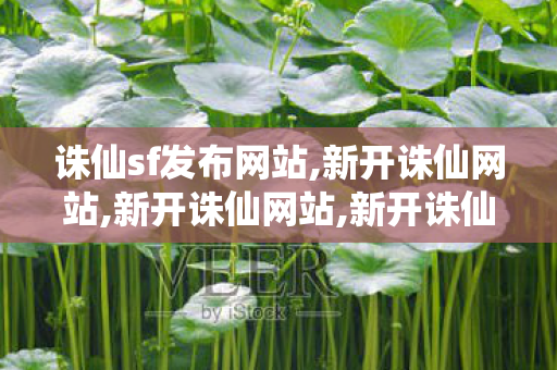 诛仙sf发布网站,新开诛仙网站,新开诛仙网站,新开诛仙网站