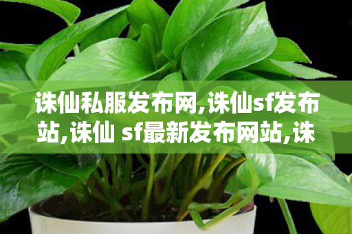 诛仙私服发布网,诛仙sf发布站,诛仙 sf最新发布网站,诛仙sf发布站