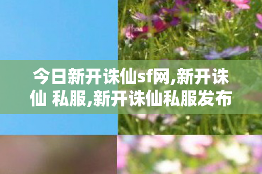 今日新开诛仙sf网,新开诛仙 私服,新开诛仙私服发布,新开诛仙 私服