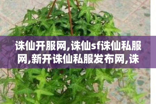 诛仙开服网,诛仙sf诛仙私服网,新开诛仙私服发布网,诛仙sf诛仙私服网