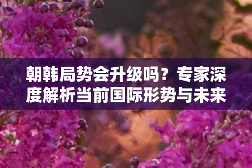 朝韩局势会升级吗？专家深度解析当前国际形势与未来走向