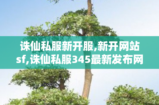 诛仙私服新开服,新开网站sf,诛仙私服345最新发布网站,新开网站sf