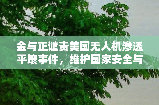 金与正谴责美国无人机渗透平壤事件，维护国家安全与尊严的坚定立场