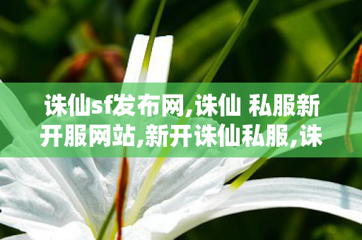 诛仙sf发布网,诛仙 私服新开服网站,新开诛仙私服,诛仙 私服新开服网站