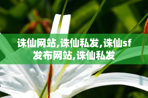 诛仙网站,诛仙私发,诛仙sf发布网站,诛仙私发