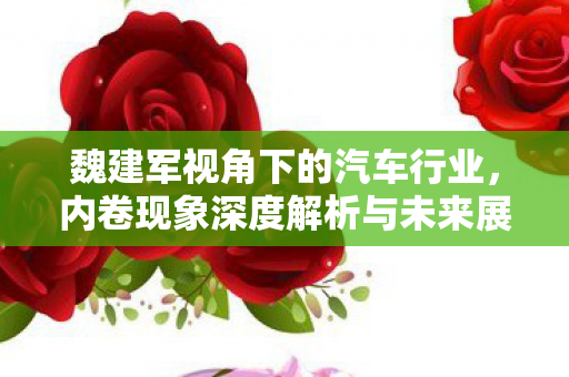 魏建军视角下的汽车行业，内卷现象深度解析与未来展望
