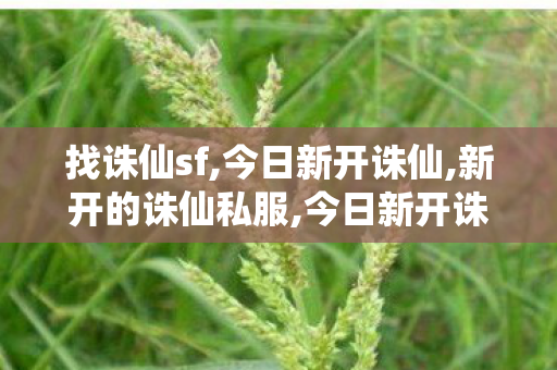 找诛仙sf,今日新开诛仙,新开的诛仙私服,今日新开诛仙