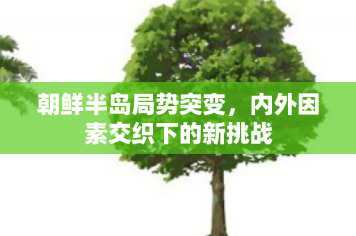 朝鲜半岛局势突变，内外因素交织下的新挑战