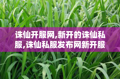 诛仙开服网,新开的诛仙私服,诛仙私服发布网新开服,新开的诛仙私服