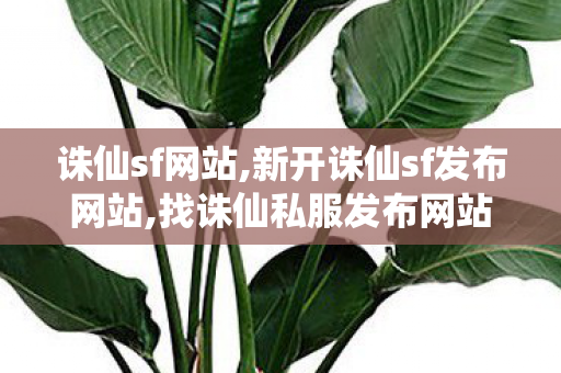 诛仙sf网站,新开诛仙sf发布网站,找诛仙私服发布网站,新开诛仙sf发布网站
