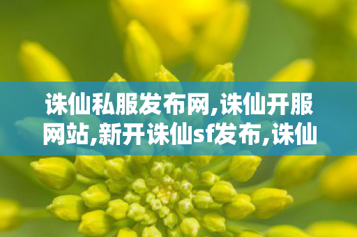 诛仙私服发布网,诛仙开服网站,新开诛仙sf发布,诛仙开服网站