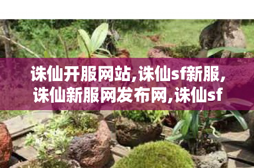 诛仙开服网站,诛仙sf新服,诛仙新服网发布网,诛仙sf新服