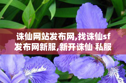 诛仙网站发布网,找诛仙sf发布网新服,新开诛仙 私服,找诛仙sf发布网新服