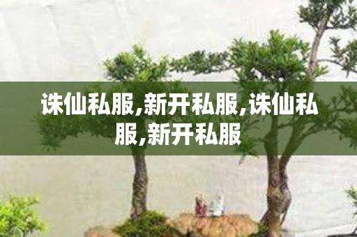诛仙私服,新开私服,诛仙私服,新开私服