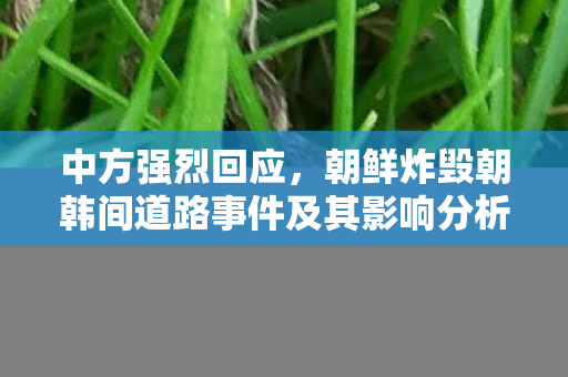 中方强烈回应，朝鲜炸毁朝韩间道路事件及其影响分析